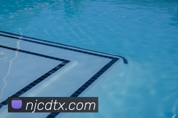 开云手机入口官方网站服务体系